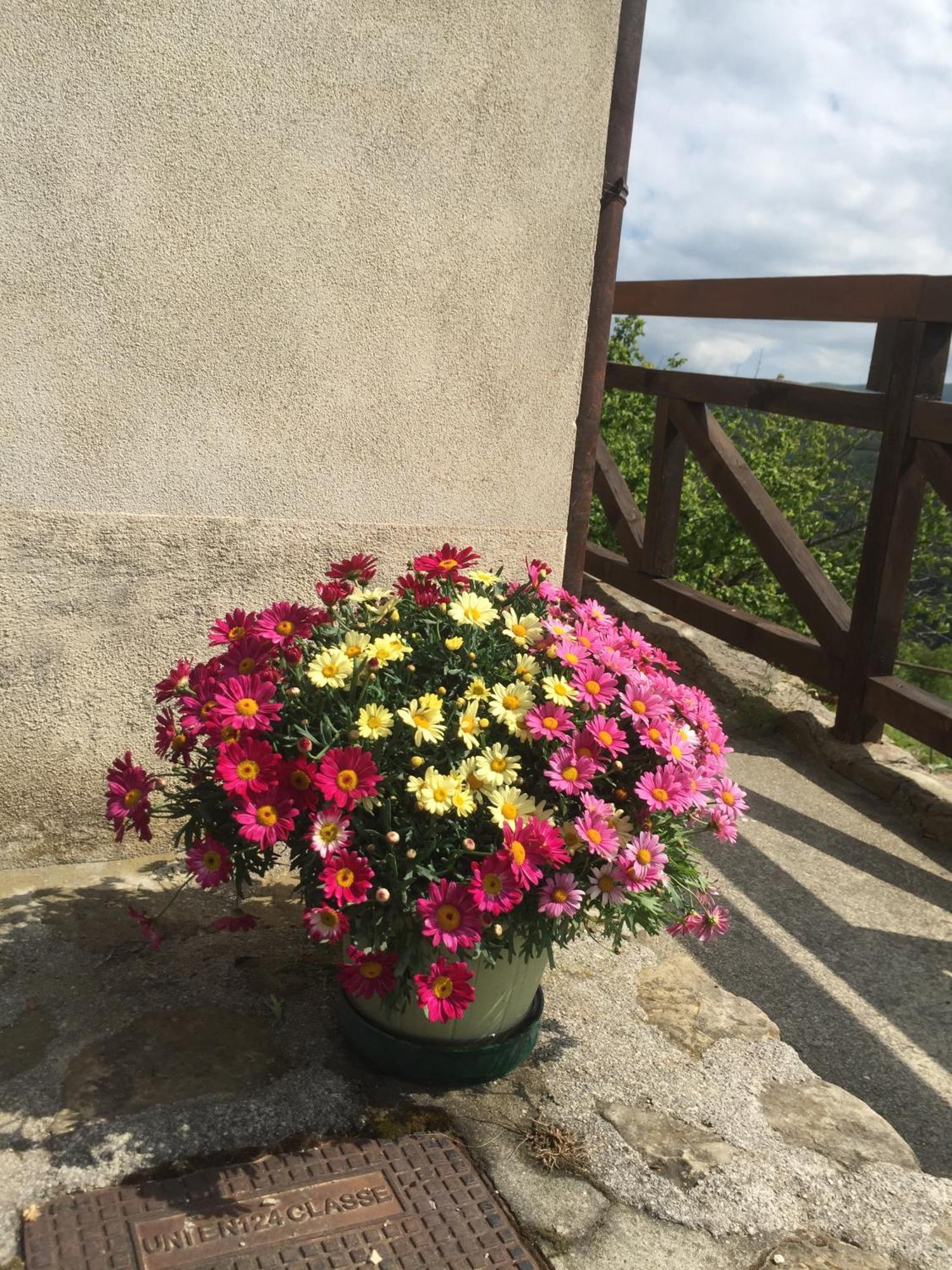Bed and Breakfast Residenza Cima Le Vigne Millesimo Pokój zdjęcie